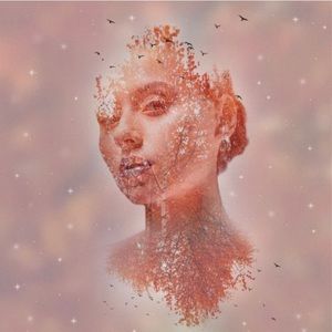 Meet your Posher, Lilliana